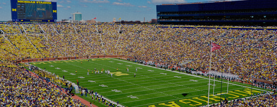 Comerica Stadium photo